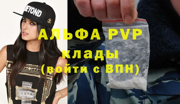 гашик Белокуриха