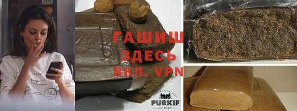 гашик Белокуриха