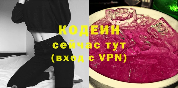 гашик Пестово