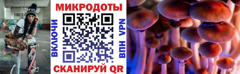 Галлюциногенные грибы Psilocybine cubensis  где продают наркотики  MEGA ТОР  Покровск 